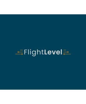 Flight Level Steam Key GLOBAL